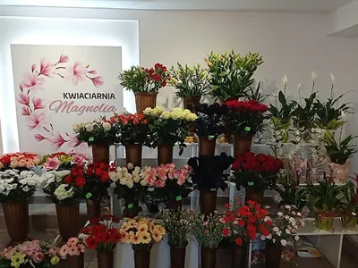 Kwiaciarnia Magnolia
